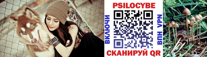 где продают   Ухта  Галлюциногенные грибы GOLDEN TEACHER 